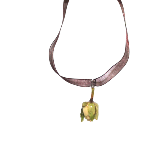 FLORA 9