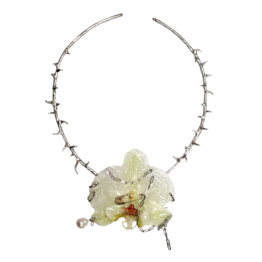 FLORA 5