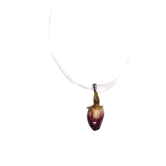 FLORA 10