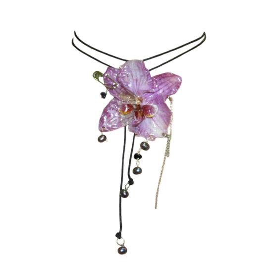 FLORA 6