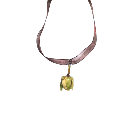 FLORA 9