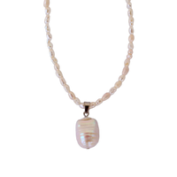 moné N°261