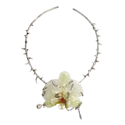 FLORA 5