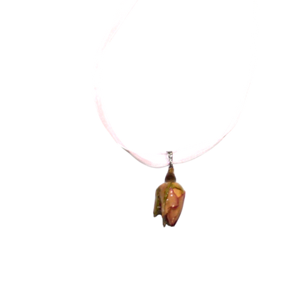 FLORA 11