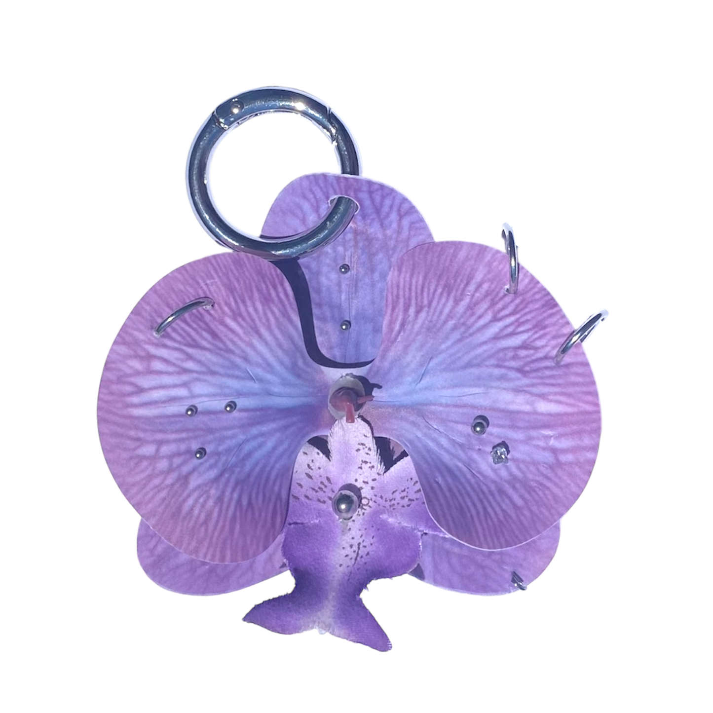PURPLE GRUNGY ORCHID