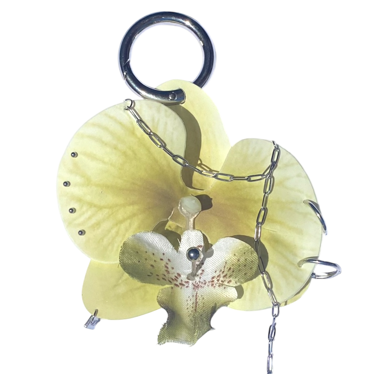 OLIVE GRUNGY ORCHID