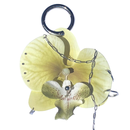 OLIVE GRUNGY ORCHID