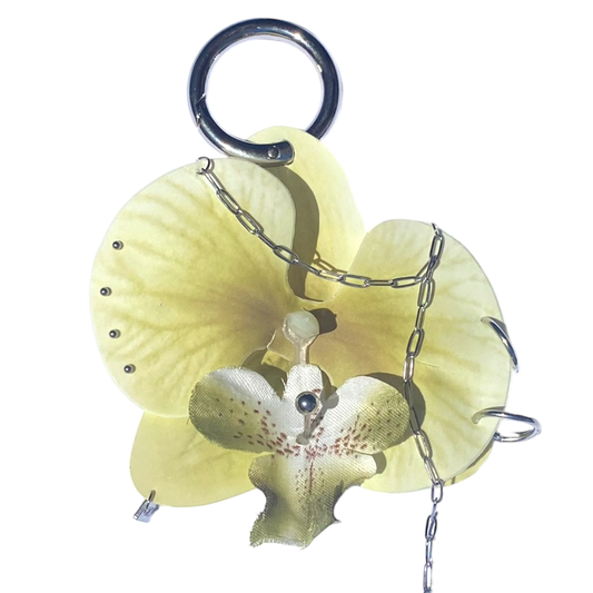 OLIVE GRUNGY ORCHID